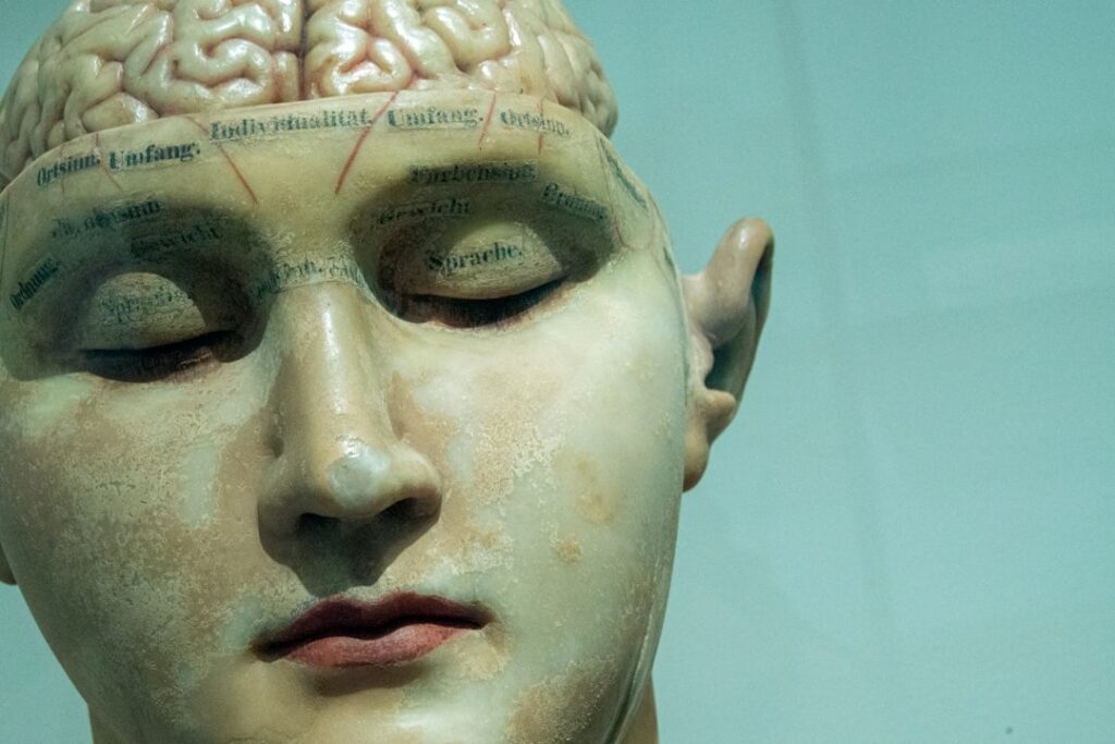 The Brain on Covid-19