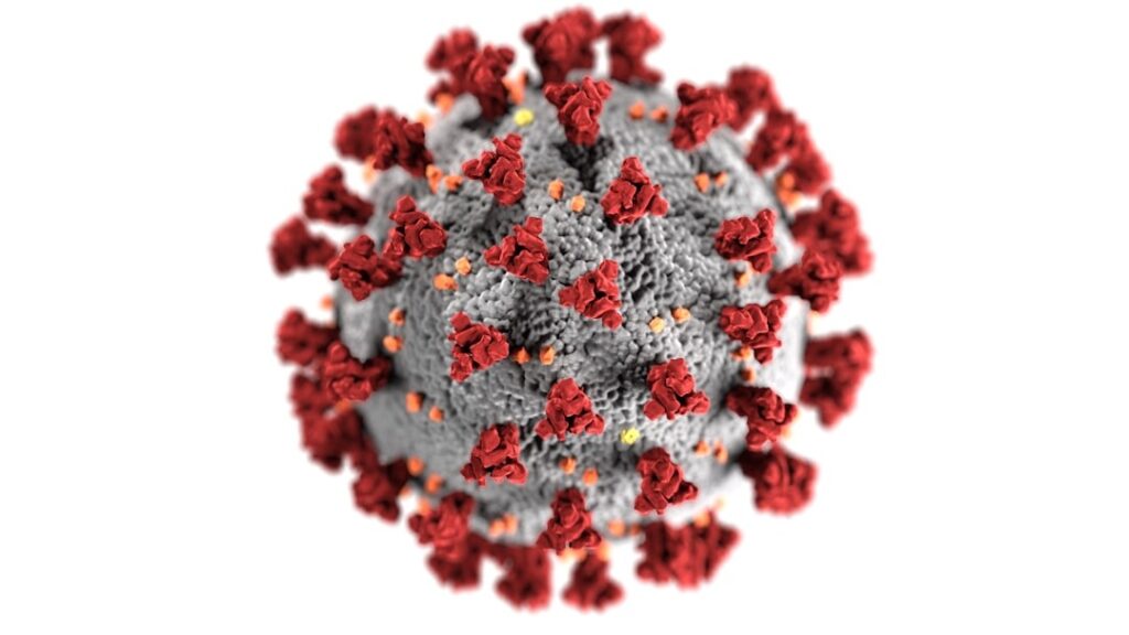 A World of Viruses