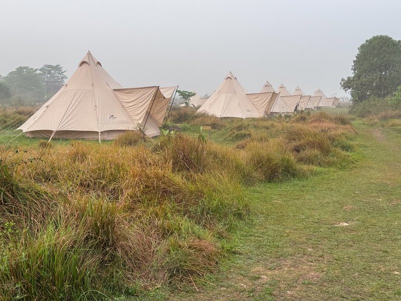 Field camp in mist, Bardia